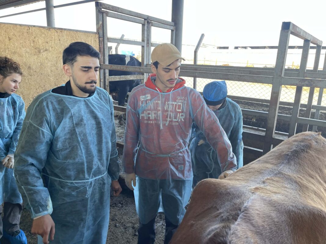 ესტუმრნენ