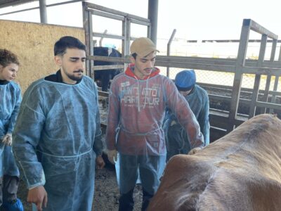 ესტუმრნენ