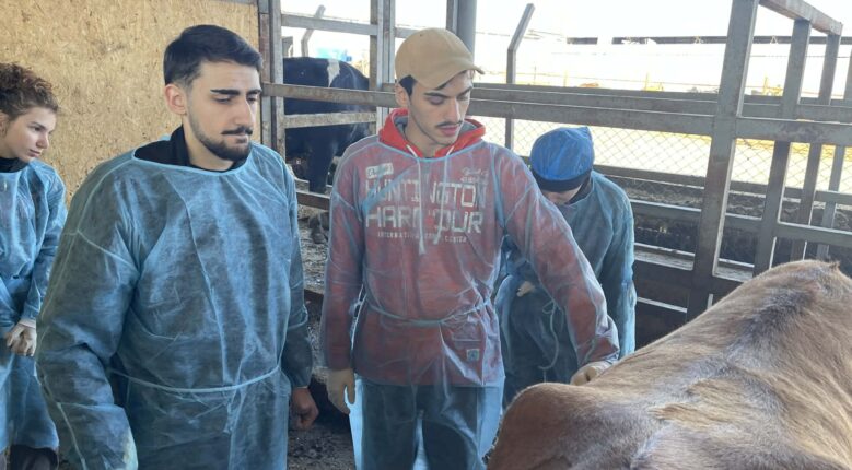 ესტუმრნენ