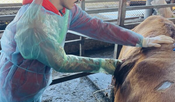 e7dd4761-c229-4956-be32-019deae72018