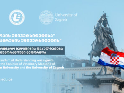 სტაჟირების პროგრამა