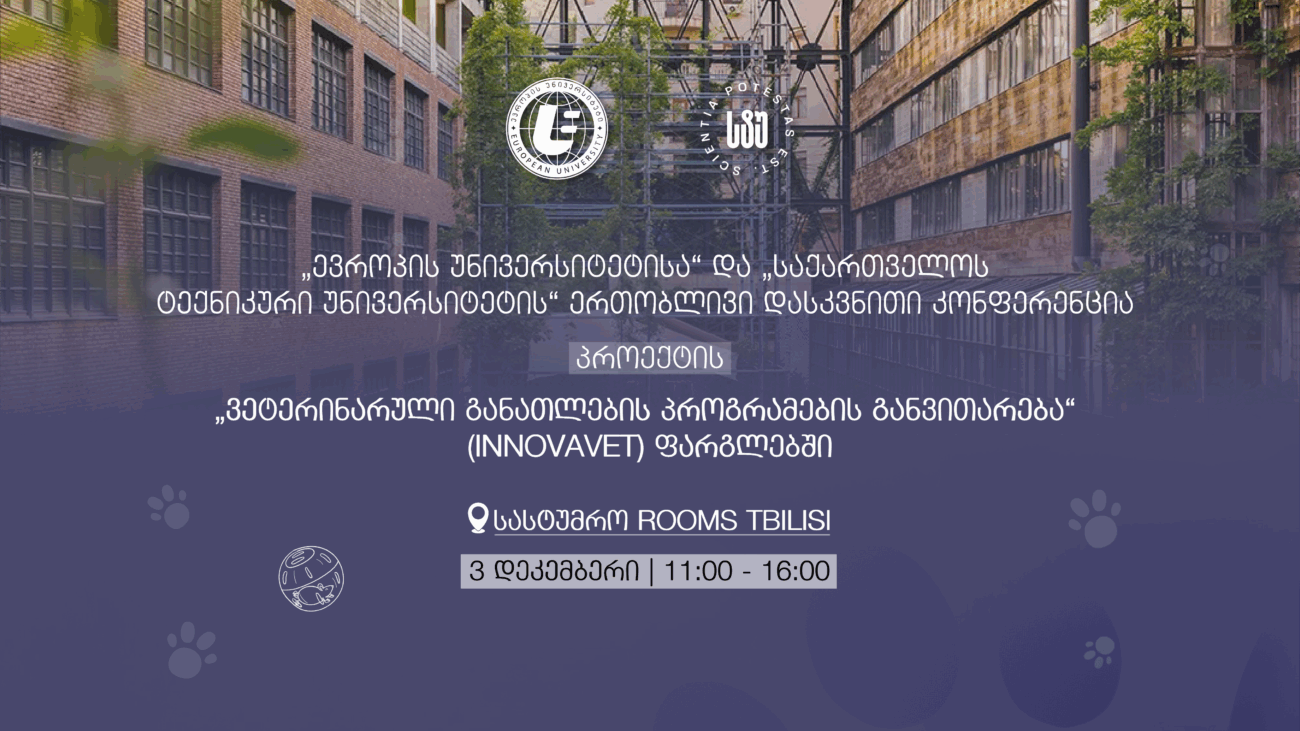 დასკვნითი კონფერენცია