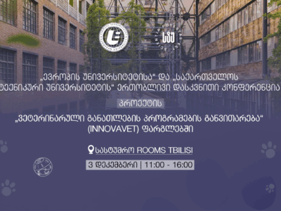 დასკვნითი კონფერენცია