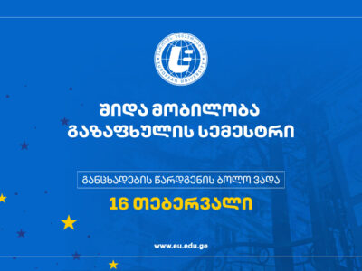 შიდა მობილობა